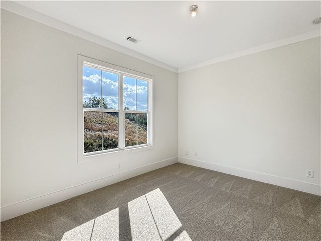 Lot 24 Blue Heron Trail, Waverly, GA 31565