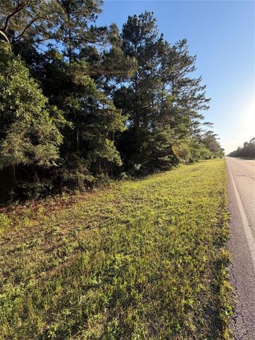 0 Reids Prairie Road, Waller, TX 77484