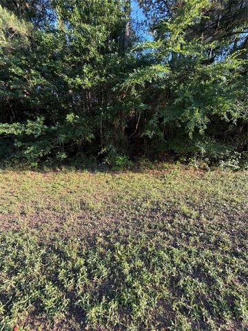0 Reids Prairie Road, Waller, TX 77484