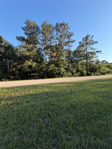 0 Reids Prairie Road, Waller, TX 77484