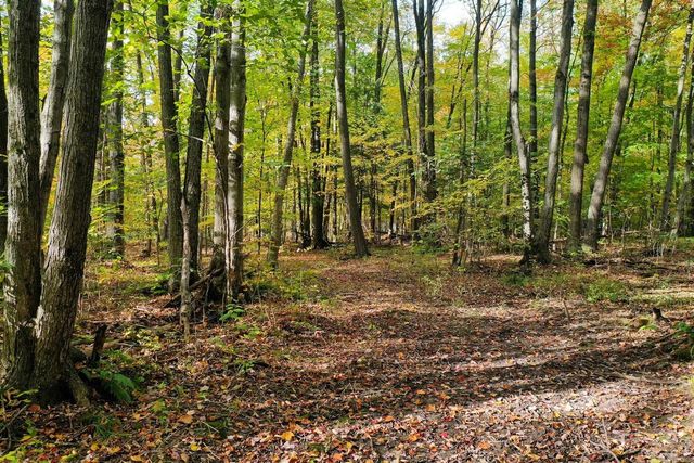 N3334 OAK RIDGE ROAD, Medford, WI 54451