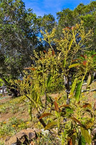 957 Skyline Drive, San Luis Obispo, CA 93405