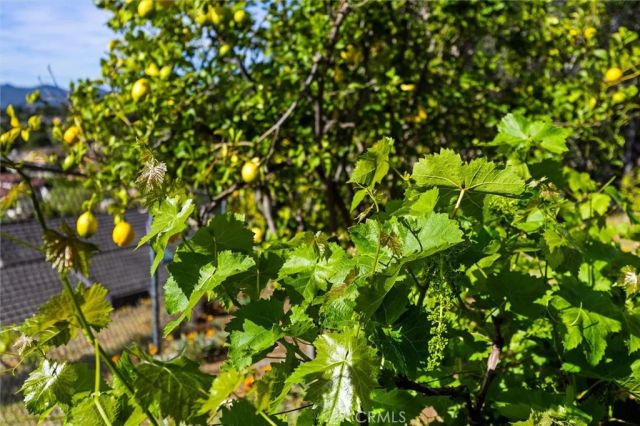 957 Skyline Drive, San Luis Obispo, CA 93405