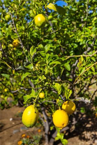 957 Skyline Drive, San Luis Obispo, CA 93405