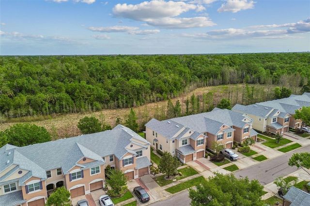 26527 CASTLEVIEW WAY, Wesley Chapel, FL 33544