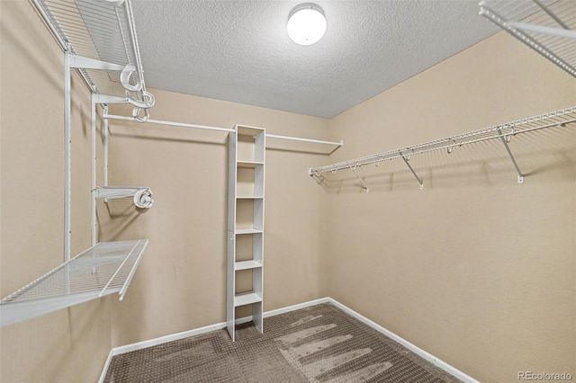 5510 Spring Ridge Trail, Castle Rock, CO 80104