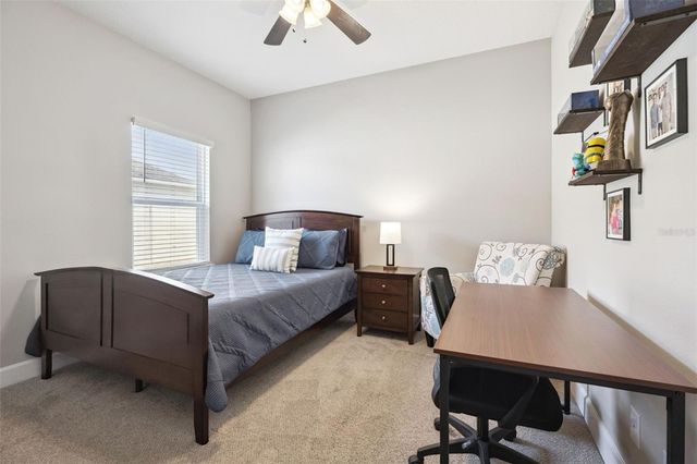 236 MESSINA PL, Howey In The Hills, FL 34737