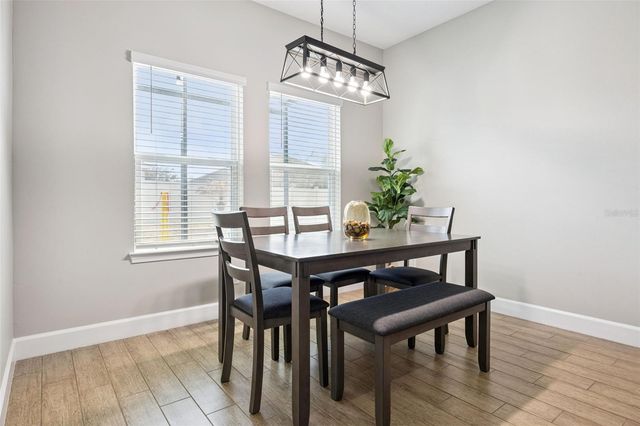 236 MESSINA PL, Howey In The Hills, FL 34737