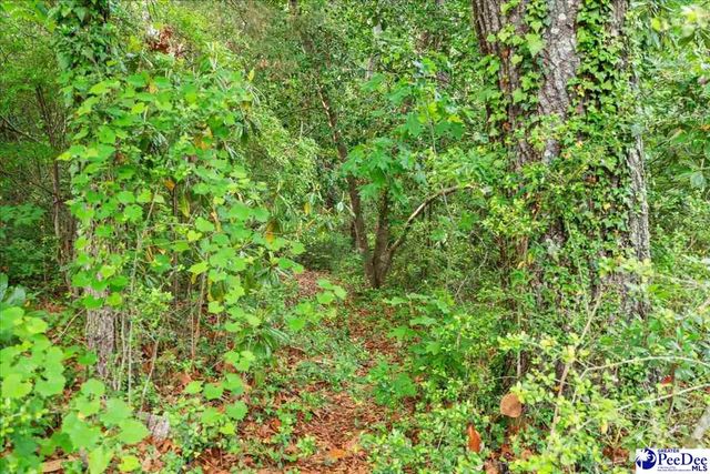1734 W Carolina Avenue, Hartsville, SC 29550