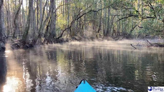 1734 W Carolina Avenue, Hartsville, SC 29550