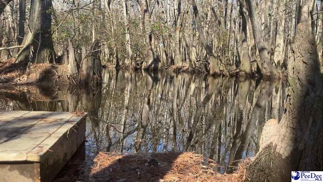 1734 W Carolina Avenue, Hartsville, SC 29550