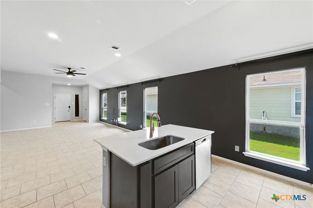 308 Black Opal Drive, Jarrell, TX 76537