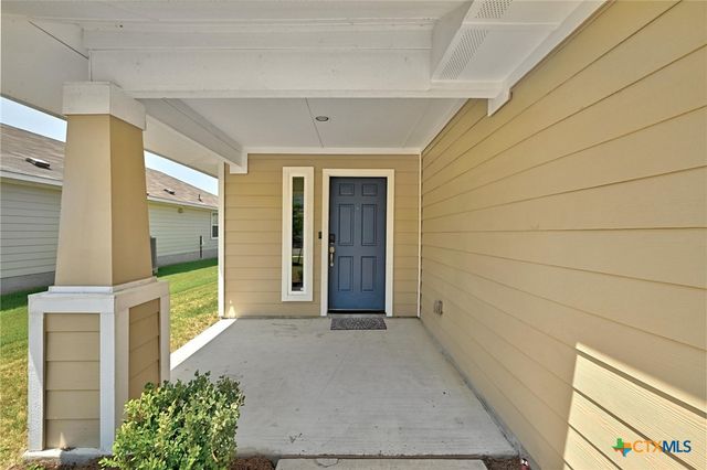308 Black Opal Drive, Jarrell, TX 76537