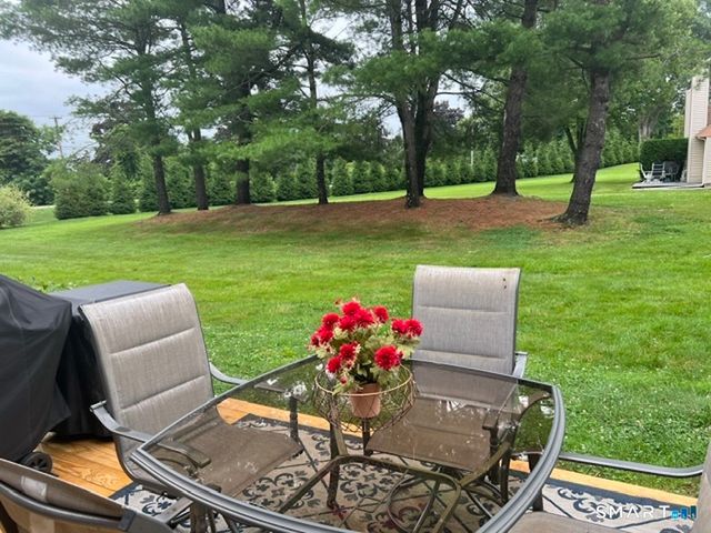 10 Butternut Lane 10, Rocky Hill, CT 06067