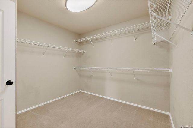 17031 Graham Walk, San Antonio, TX 78247