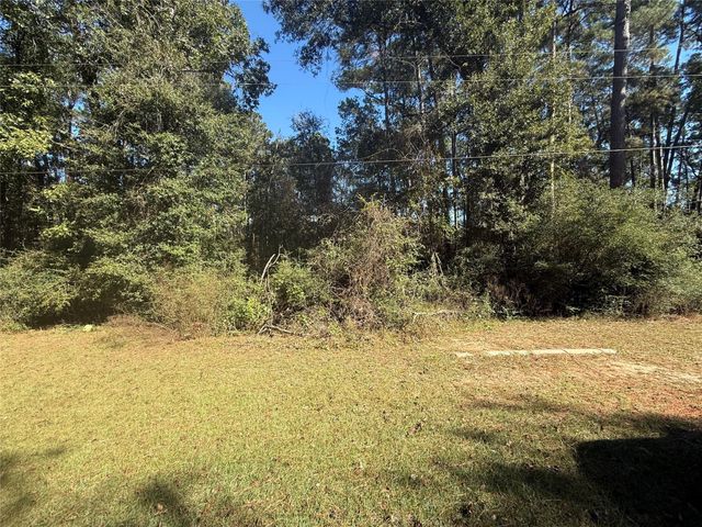 TBD1 Lake Shore Drive, Conroe, TX 77303