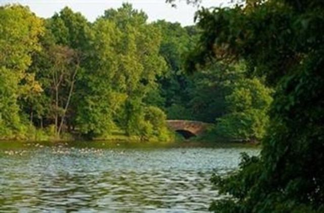 44 Washington St. 709, Brookline, MA 02445