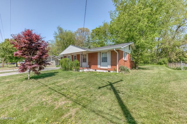 171 Reedy Street, Bristol, VA 24201
