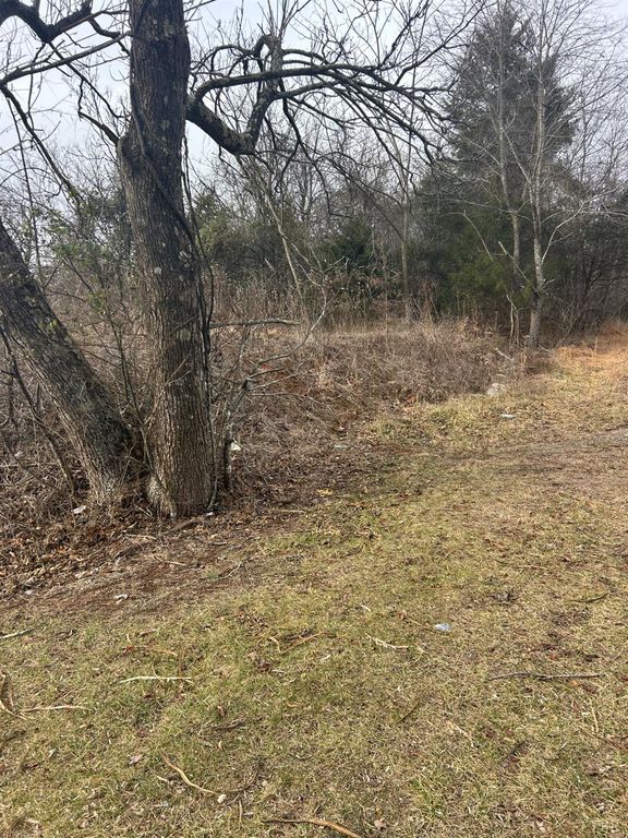 0 Dixie Airport, Madison Heights, VA 24572