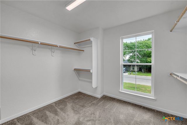 3006 Whitetail Trail, Nolanville, TX 76559