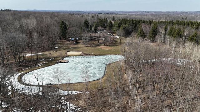 9893 BLUFF DRIVE, Pittsville, WI 54466