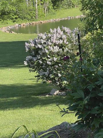 9893 BLUFF DRIVE, Pittsville, WI 54466