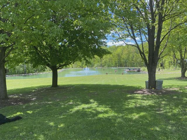 9893 BLUFF DRIVE, Pittsville, WI 54466