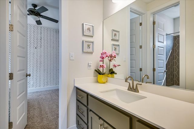 20908 Claire Jean PATH, Pflugerville, TX 78660