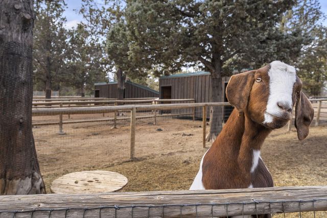 18495 Crawford Trail, Sisters, OR 97759