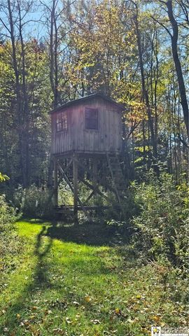 4273 Waterman Road, Stockton, NY 14784