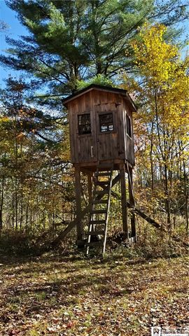 4273 Waterman Road, Stockton, NY 14784