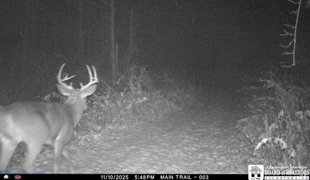 4273 Waterman Road, Stockton, NY 14784