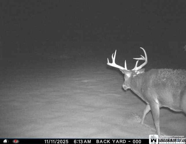 4273 Waterman Road, Stockton, NY 14784