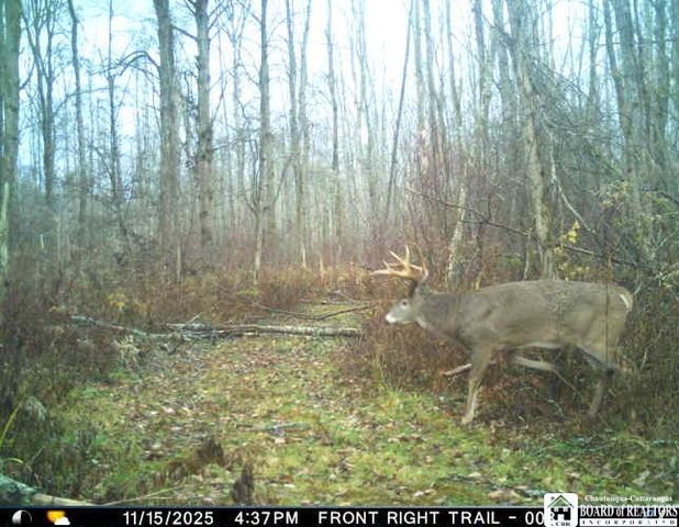 4273 Waterman Road, Stockton, NY 14784