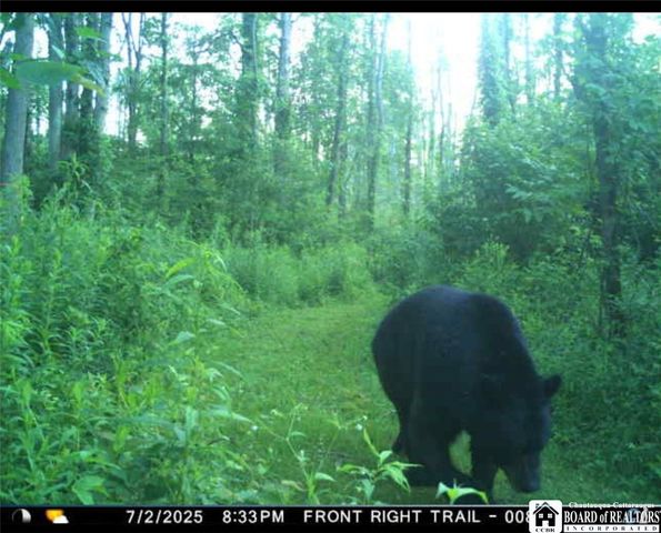 4273 Waterman Road, Stockton, NY 14784