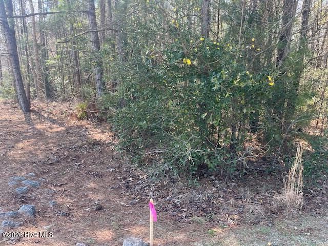 1894 Sunset Cove Drive SE, Bolivia, NC 28422