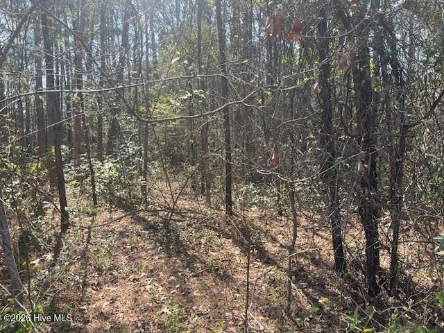 1894 Sunset Cove Drive SE, Bolivia, NC 28422