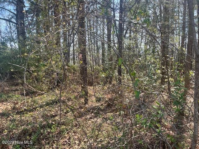 1894 Sunset Cove Drive SE, Bolivia, NC 28422