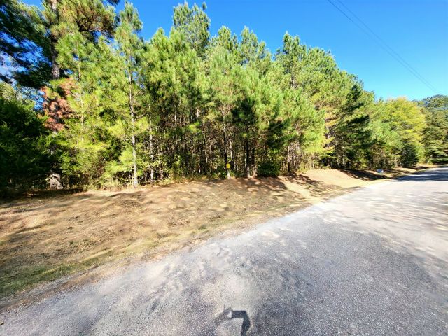 4 Chestnut Hill Rd, Eva, TN 38333