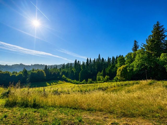 18516 Skyline Boulevard, Los Gatos, CA 95033