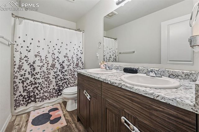 4391 Gneiss Loop, Colorado Springs, CO 80938
