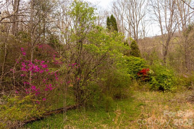 99 Banjo Branch Road, Burnsville, NC 28714