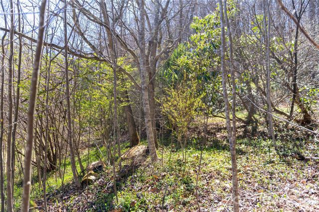 99 Banjo Branch Road, Burnsville, NC 28714