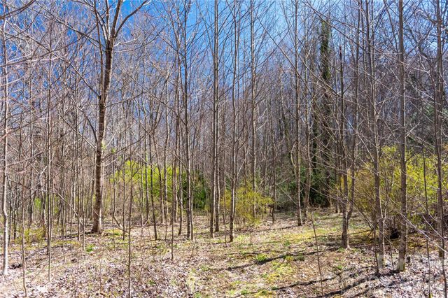 99 Banjo Branch Road, Burnsville, NC 28714