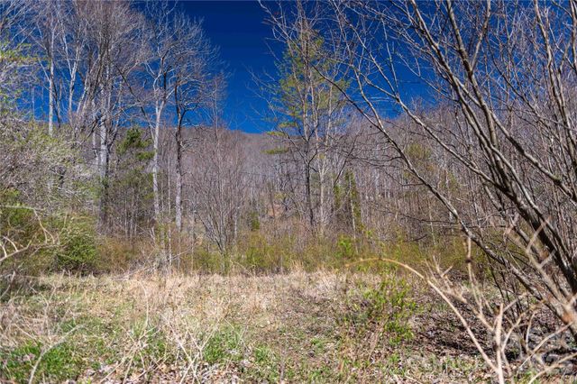 99 Banjo Branch Road, Burnsville, NC 28714