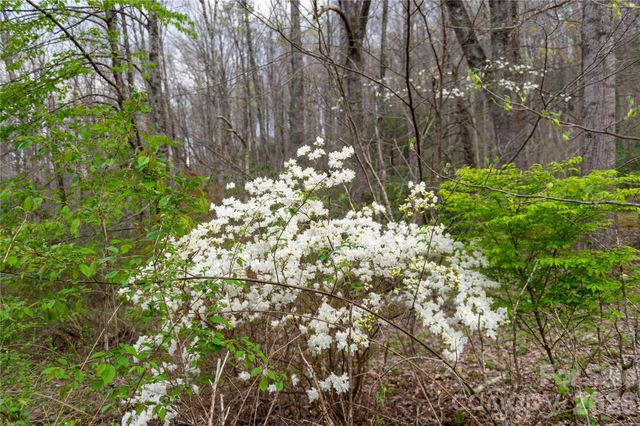 99 Banjo Branch Road, Burnsville, NC 28714
