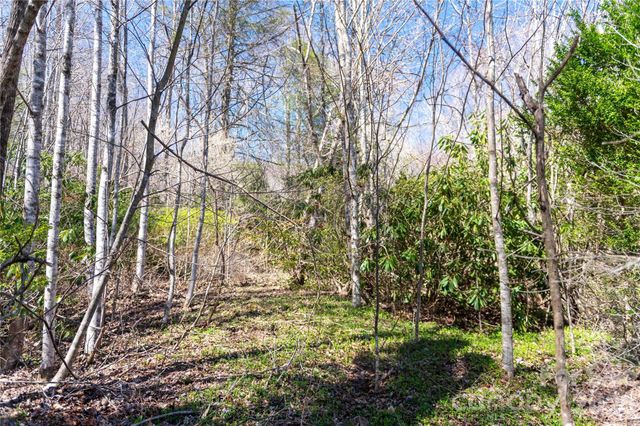 99 Banjo Branch Road, Burnsville, NC 28714