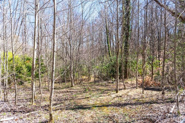 99 Banjo Branch Road, Burnsville, NC 28714