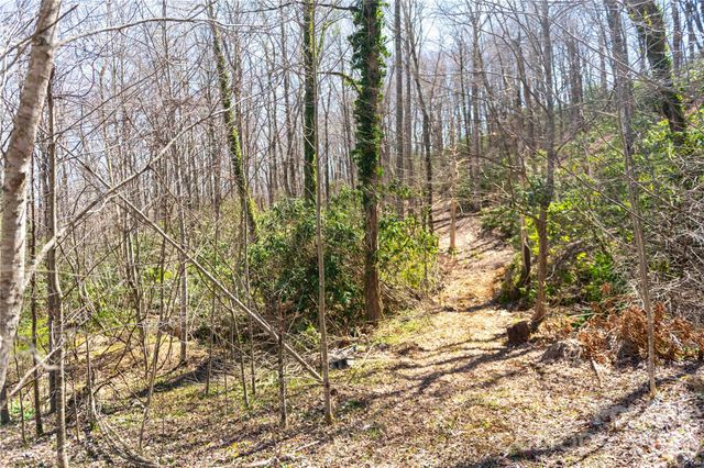99 Banjo Branch Road, Burnsville, NC 28714