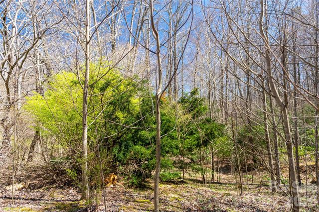 99 Banjo Branch Road, Burnsville, NC 28714